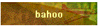 bahoo