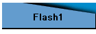 Flash1