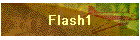 Flash1