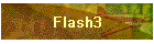Flash3