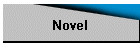 Novel